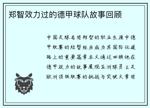 郑智效力过的德甲球队故事回顾