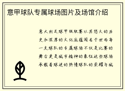 意甲球队专属球场图片及场馆介绍