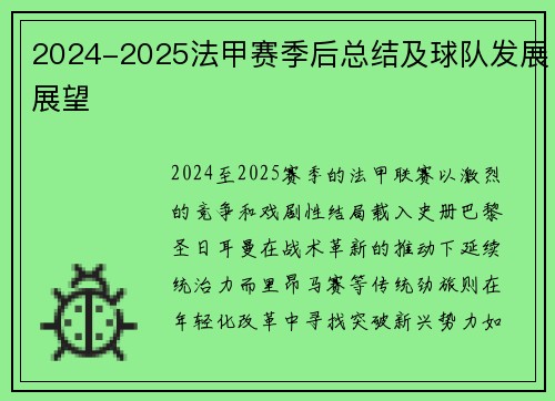 2024-2025法甲赛季后总结及球队发展展望
